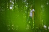 junge Frau im Wald - Anja Brunsmann junge Frau im Wald - Anja Brunsmann